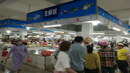 湖北都市网