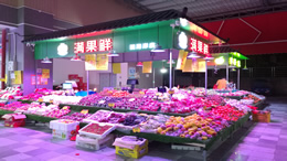 东方汽车网
