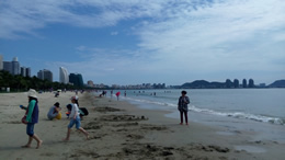 最低给发送三道杠是萨芬个88