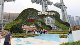  城市情报网
