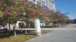 江西汽车网