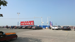 媒塔CMS登录页重磅更新：验证完成即登录，图标点选更智能