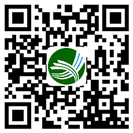 手机新海网